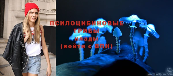 прущие крисы Гусиноозёрск