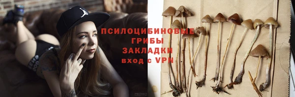 a pvp Гусев