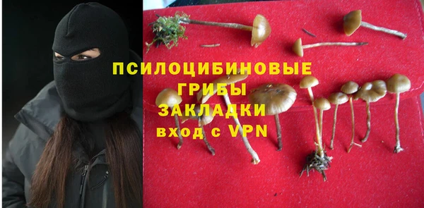 COCAINE Гусь-Хрустальный
