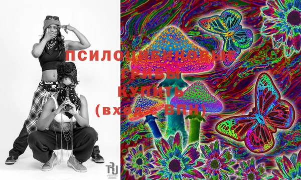COCAINE Гусь-Хрустальный