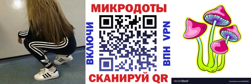Псилоцибиновые грибы ЛСД Северск